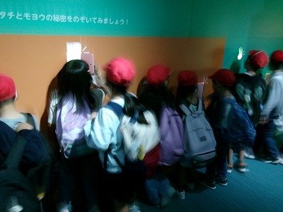 190_0210.jpg