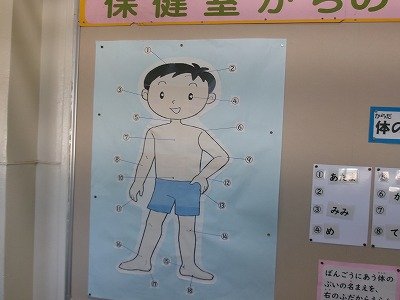 190_0271.jpg