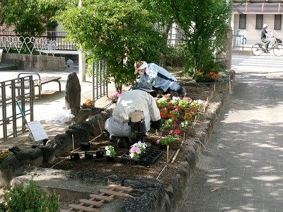 190_0440.jpg