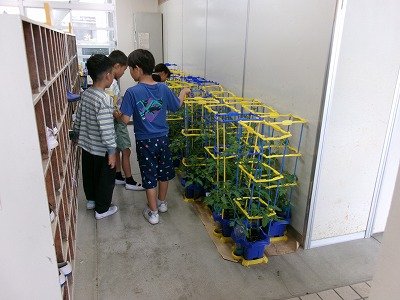 190_0625.jpg