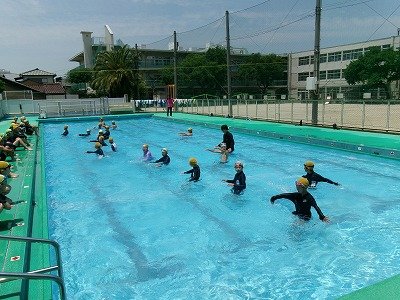 190_0782.jpg