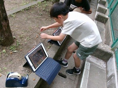 190_0804.jpg