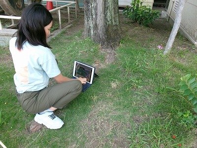 190_0805.jpg