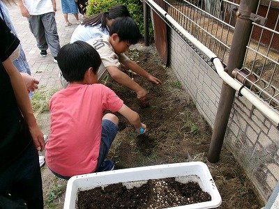 190_0871.jpg