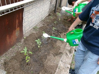 190_0872.jpg