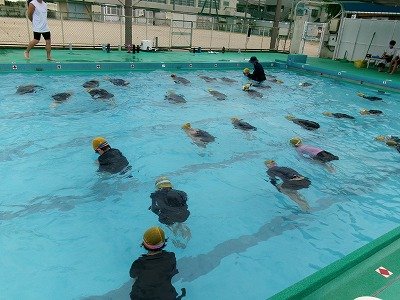190_0950.jpg