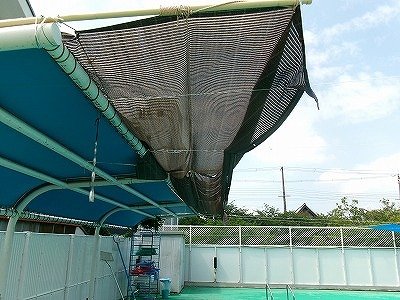 190_1015.jpg