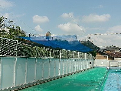 190_1017.jpg