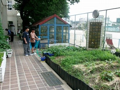 190_1029.jpg