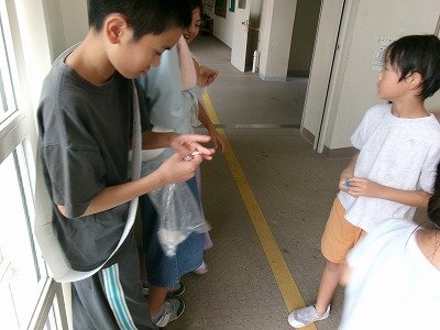 190_1044.jpg