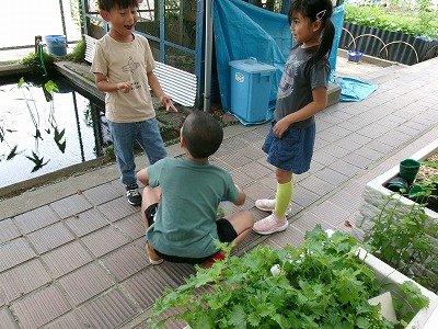 190_1046.jpg
