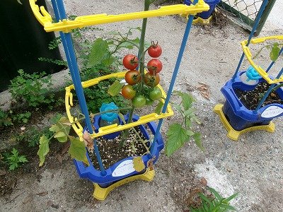 190_1047.jpg