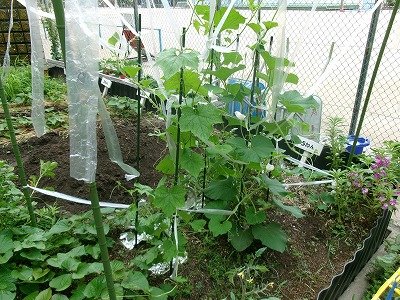 190_1048.jpg