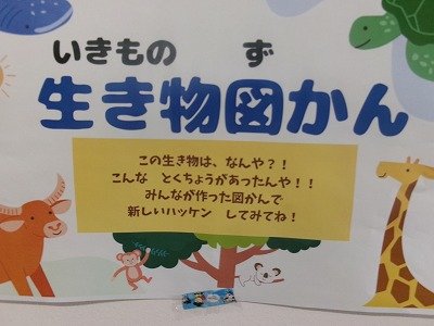 190_1116.jpg