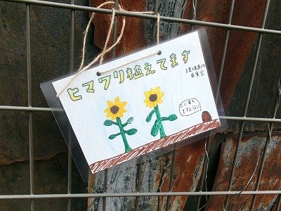 190_1224.jpg