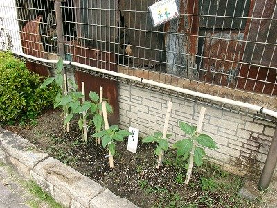 190_1225.jpg