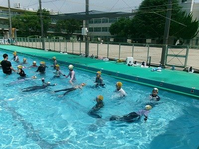 190_1265.jpg