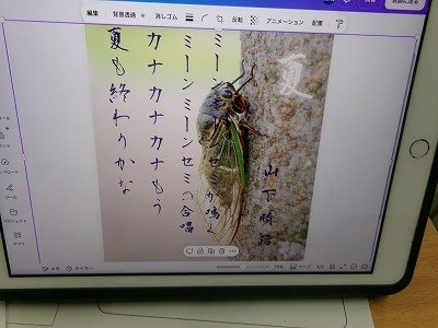 190_1274.jpg