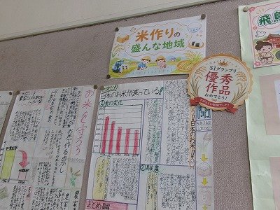 190_1290.jpg