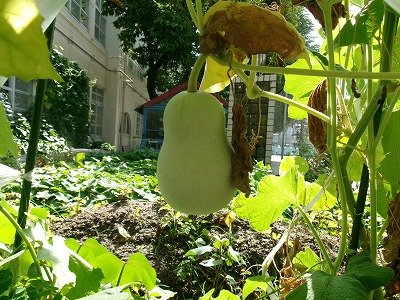 190_1378.jpg