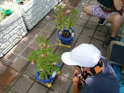 190_1444.jpg