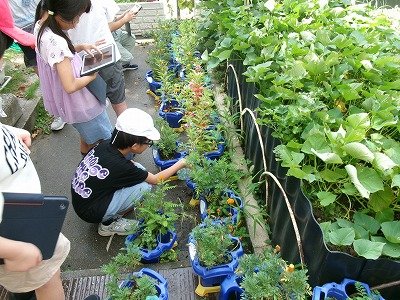 190_1445.jpg