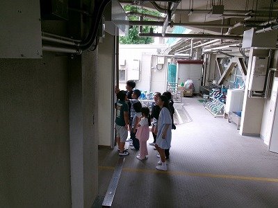 190_1529.jpg