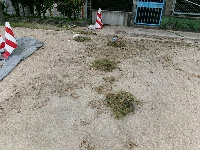 190_1577.jpg