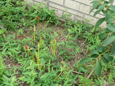 190_1652.jpg