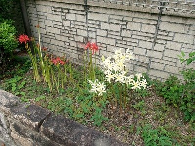 190_1783.jpg