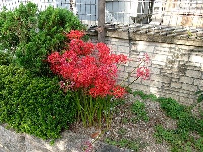 190_1835.jpg