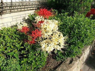 190_1836.jpg