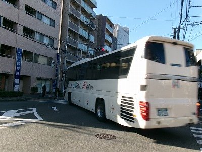 190_2008.jpg