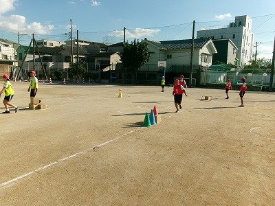 190_2068.jpg