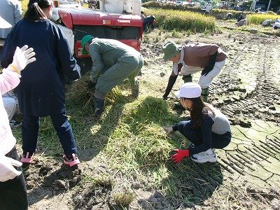 190_2114.jpg