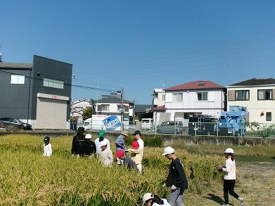 190_2135.jpg