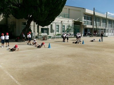 190_2176.jpg