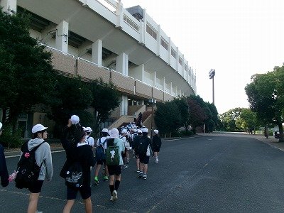 190_2252.jpg