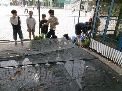 190_2278.jpg