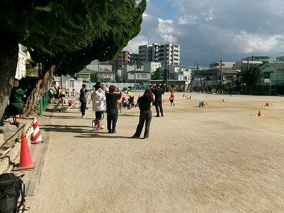 190_2153.jpg