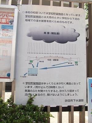 DSCF2121.jpg