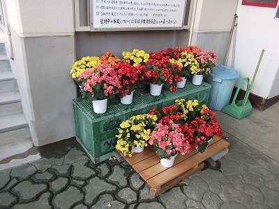 DSCF2151.jpg