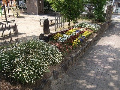 DSCF2195.jpg