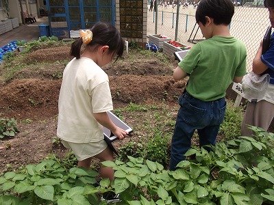 DSCF2276.jpg