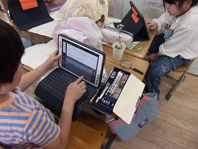 DSCF2291.jpg