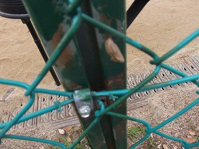 DSCF2314.jpg