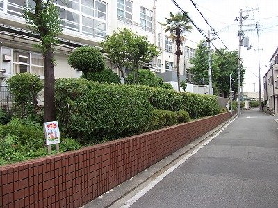 DSCF2478.jpg