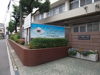 DSCF2479.jpg