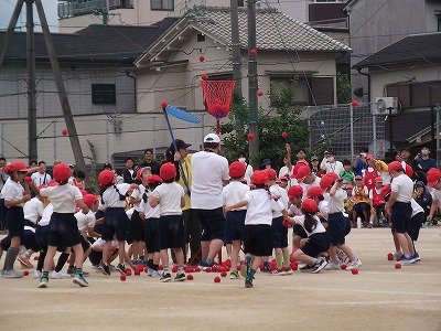 DSCF2547.jpg