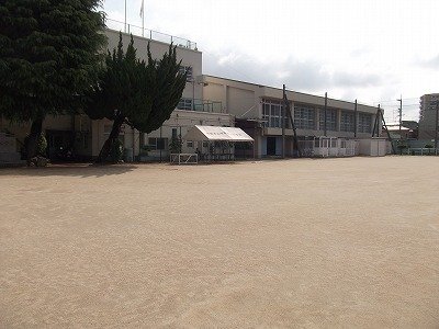 DSCF2563.jpg